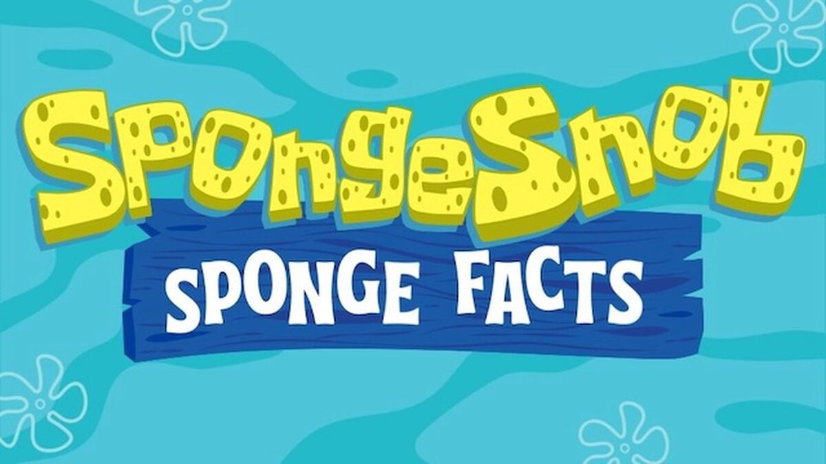 SpongeSnob Sponge Facts image number null